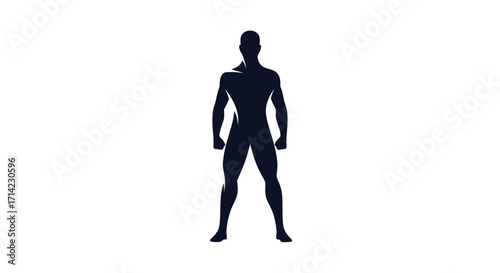 Muscular male silhouette standing tall with confident posture and strong physique.
