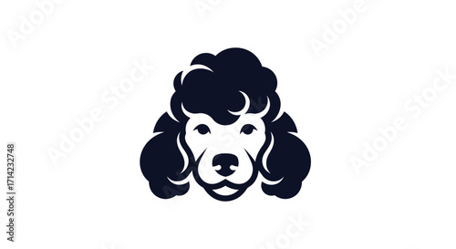 Elegant poodle silhouette showcasing refined grooming and distinctive curly fur.