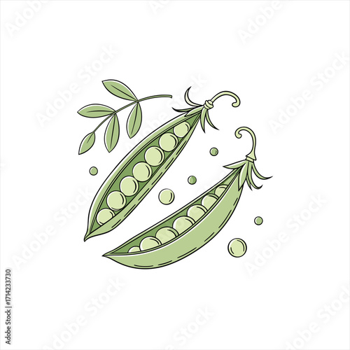 Two open pea pods with peas and a sprig of leaves