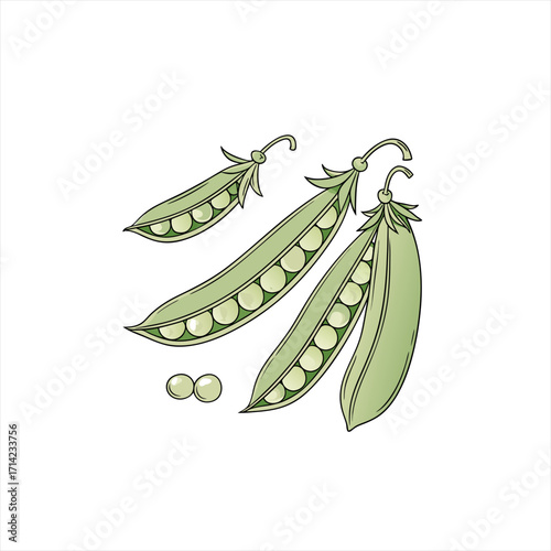 Fresh green peas in pods with loose peas on white background