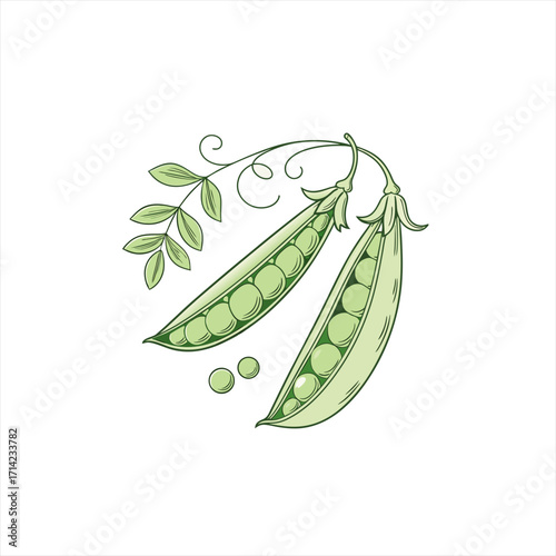 Fresh green peas in pods with leaves and tendrils