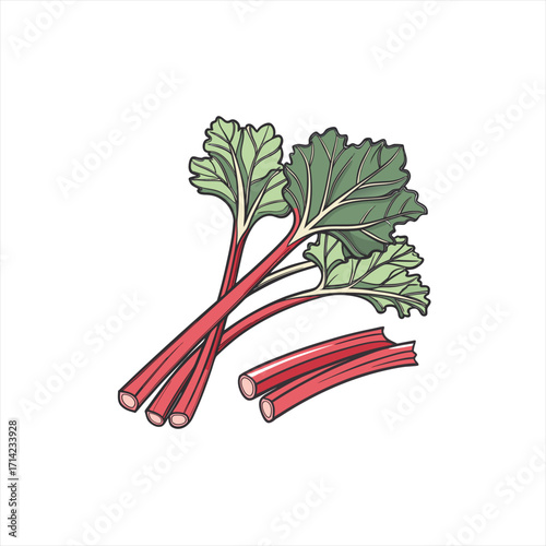 Fresh rhubarb stalks with green leaves isolated on white background