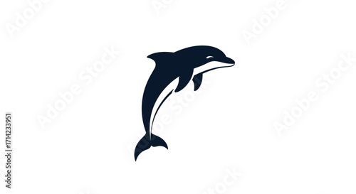 Stylized black and white dolphin jumping icon.