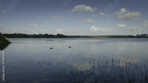 Barragem de salvaterra de magos com 2 patos.