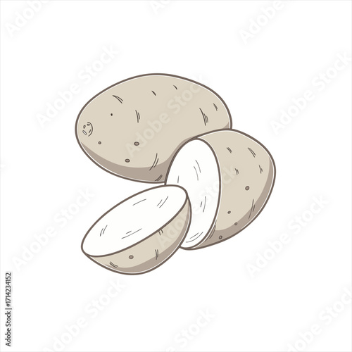 Illustration of a whole potato and a cut potato with slices
