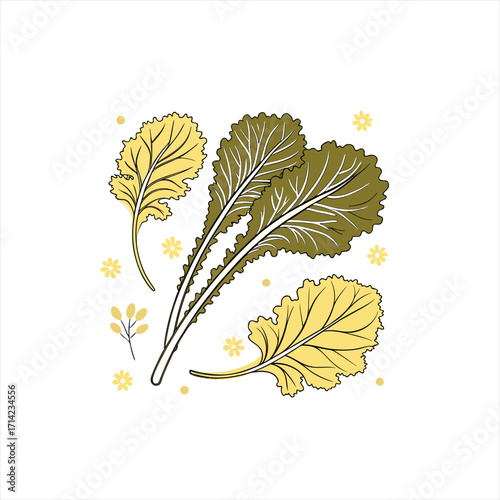 Illustration of mustard greens with small flowers and berries