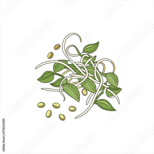 Illustration of fresh green sprouts and seeds on a white background