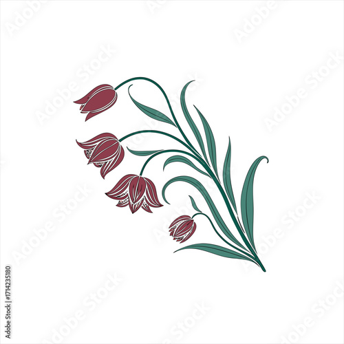 Elegant floral illustration of maroon bell shaped flowers with green leaves