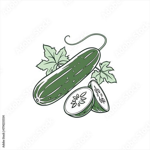 Fresh green cucumber with leaves and slices on white background