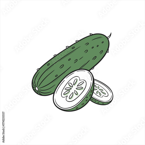 Hand drawn illustration of a whole cucumber and two slices