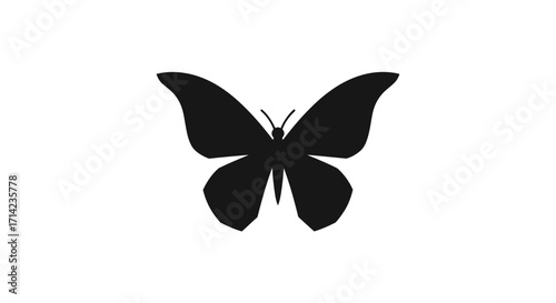 Elegant black butterfly silhouette against a clean white backdrop showcasing its delicate wings.