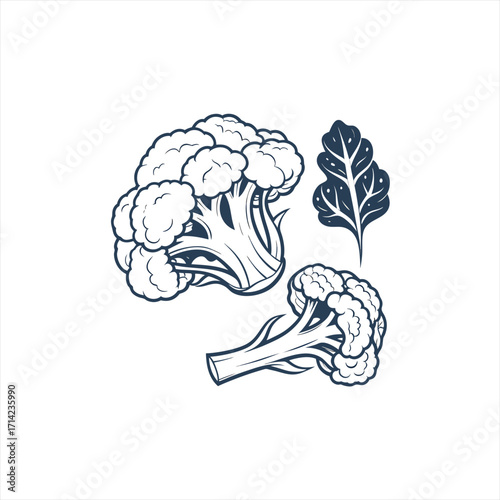 Stylized line art illustration of broccoli and leafy greens