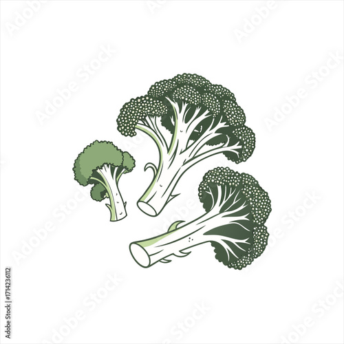 Fresh green broccoli florets arranged on a white background