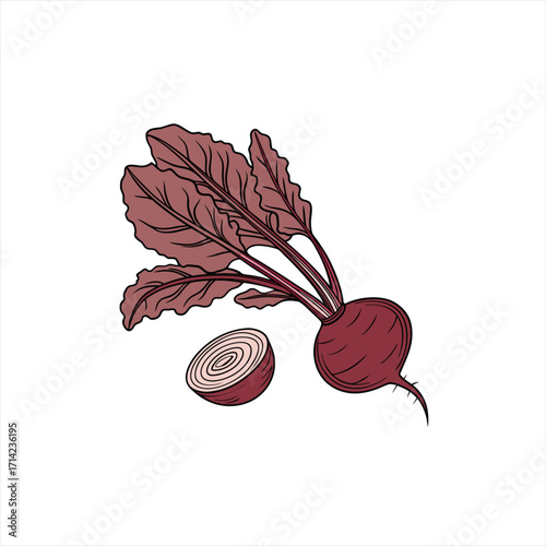 Illustration of a whole beet with green leaves and a sliced beet