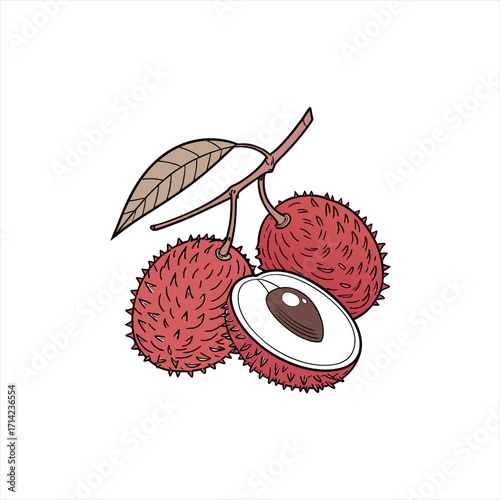 Wallpaper Mural Illustration of three ripe lychee fruits on a branch with one fruit cut in half Torontodigital.ca