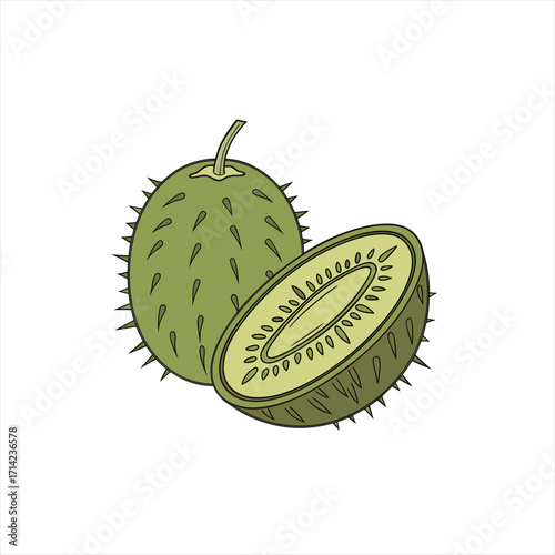 Wallpaper Mural Illustration of a whole and halved spiky green fruit Torontodigital.ca