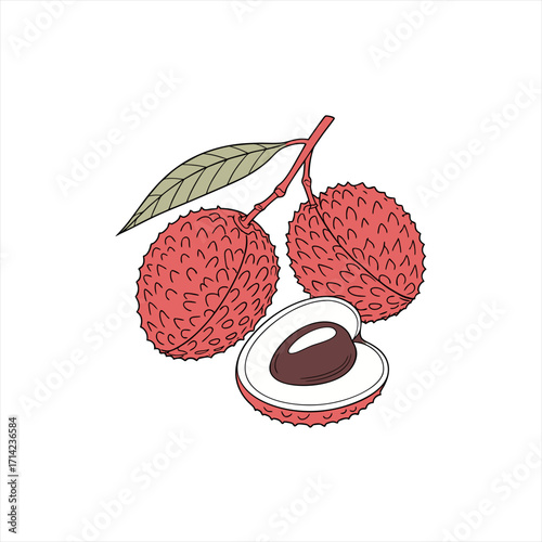 Wallpaper Mural Illustration of fresh lychee fruits on a branch with one cut in half Torontodigital.ca