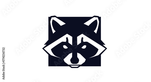 Stylized Raccoon Head Logo in Dark Blue Square.