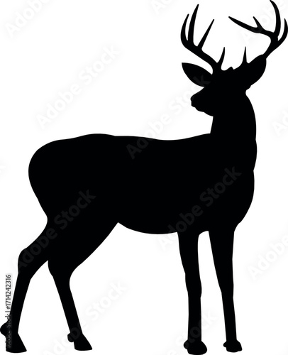 This high-quality image features a graceful deer standing in a serene natural environment. Ideal for use in wildlife conservation content, nature blogs, outdoor magazines, or seasonal greeting designs