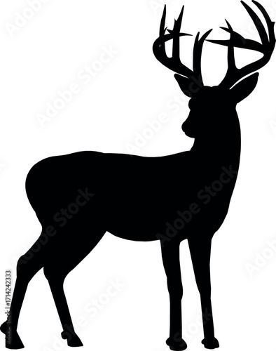 This high-quality image features a graceful deer standing in a serene natural environment. Ideal for use in wildlife conservation content, nature blogs, outdoor magazines, or seasonal greeting designs