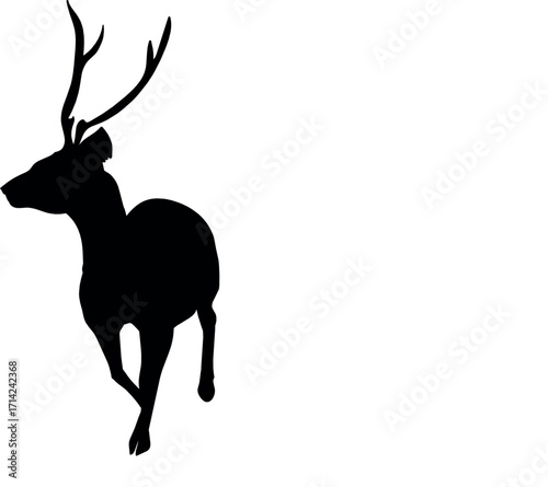 This high-quality image features a graceful deer standing in a serene natural environment. Ideal for use in wildlife conservation content, nature blogs, outdoor magazines, or seasonal greeting designs