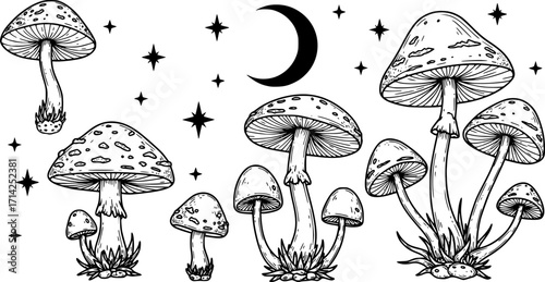 Magic mushroom with moon and stars set. Vector silhouette, black line contour drawing celestial fungus collection. Vector Black silhouettes. with white background 