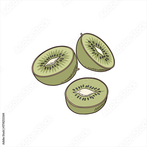 Hand drawn sliced kiwi fruit illustration on white background