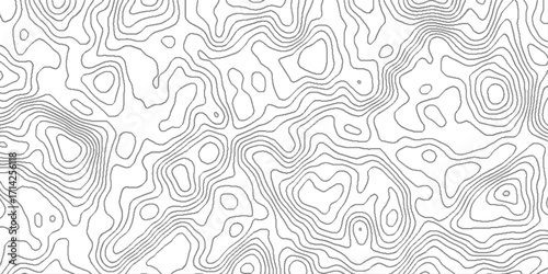 geography scheme and the terrain path, blank detailed topographic patter line map background, white wave paper curved reliefs abstract, panorama view gradient multicolor wave curve lines banner.