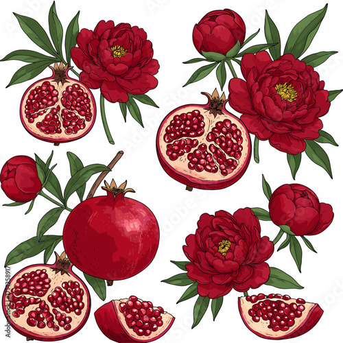Pomegranate and Red Peony Flowers Vector Set. Botanical Illustration with Whole & Cut Fruits, Blooming Flowers, Buds, & Green Leaves.