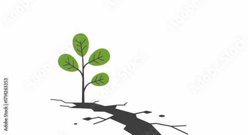 Cultivating a Greener Tomorrow: Sustainable Growth Igniting Conscious Consumer Choices