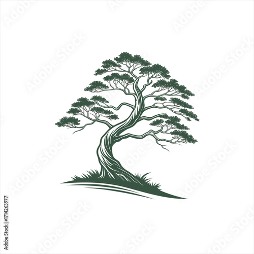 Stylized illustration of a curved pine tree with lush green foliage