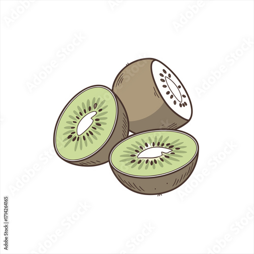 Illustration of fresh kiwi fruit cut in half on a white background