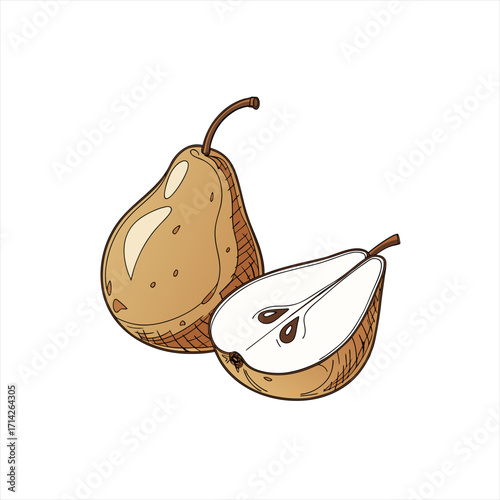Whole and halved pear illustration on white background