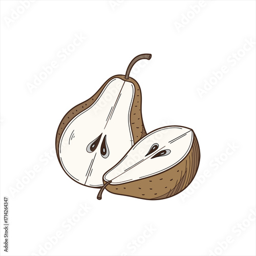 Hand drawn illustration of a sliced pear on a white background