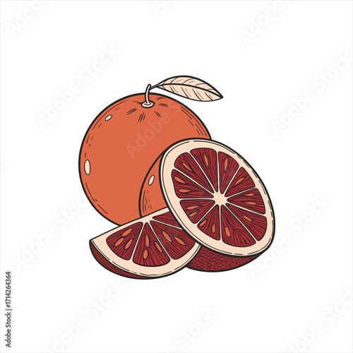 Illustration of a whole blood orange with slices and a leaf
