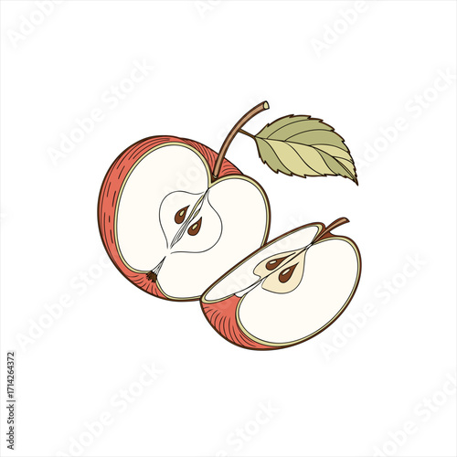 Illustration of a red apple cut in half with a slice and a leaf