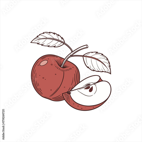 Red apple with leaf and slice hand drawn illustration