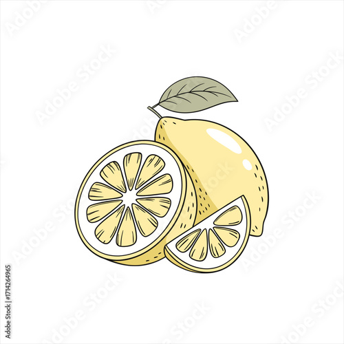 Fresh yellow lemons and slices with a leaf illustration