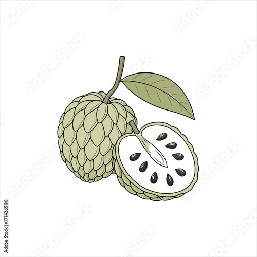 Illustration of a whole and halved custard apple with a leaf