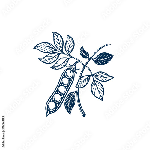 Stylized illustration of a pea pod with leaves on a white background