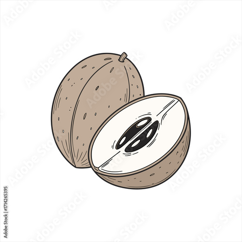 Illustration of a whole and halved sapodilla fruit with seeds