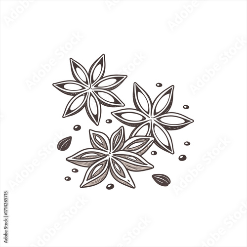 Hand drawn star anise spice illustration with seeds