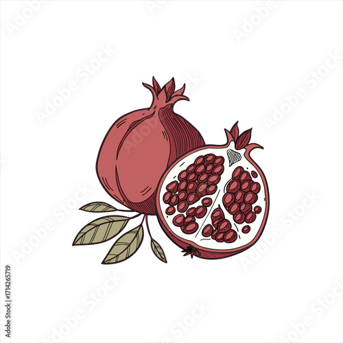 Hand drawn illustration of a whole and a halved pomegranate with leaves