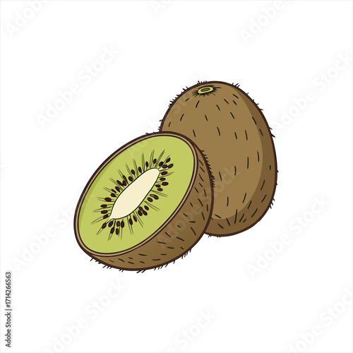 Illustration of a whole kiwi fruit and a kiwi fruit cut in half