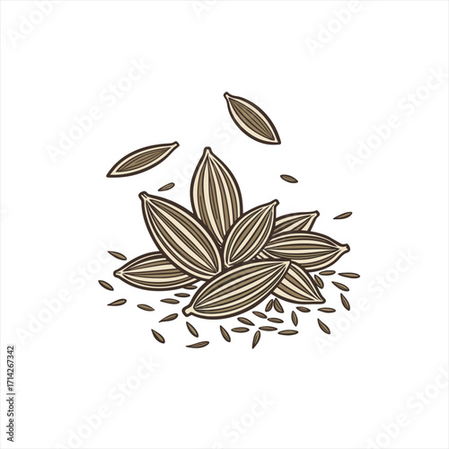 Illustration of cumin seeds and pods on white background