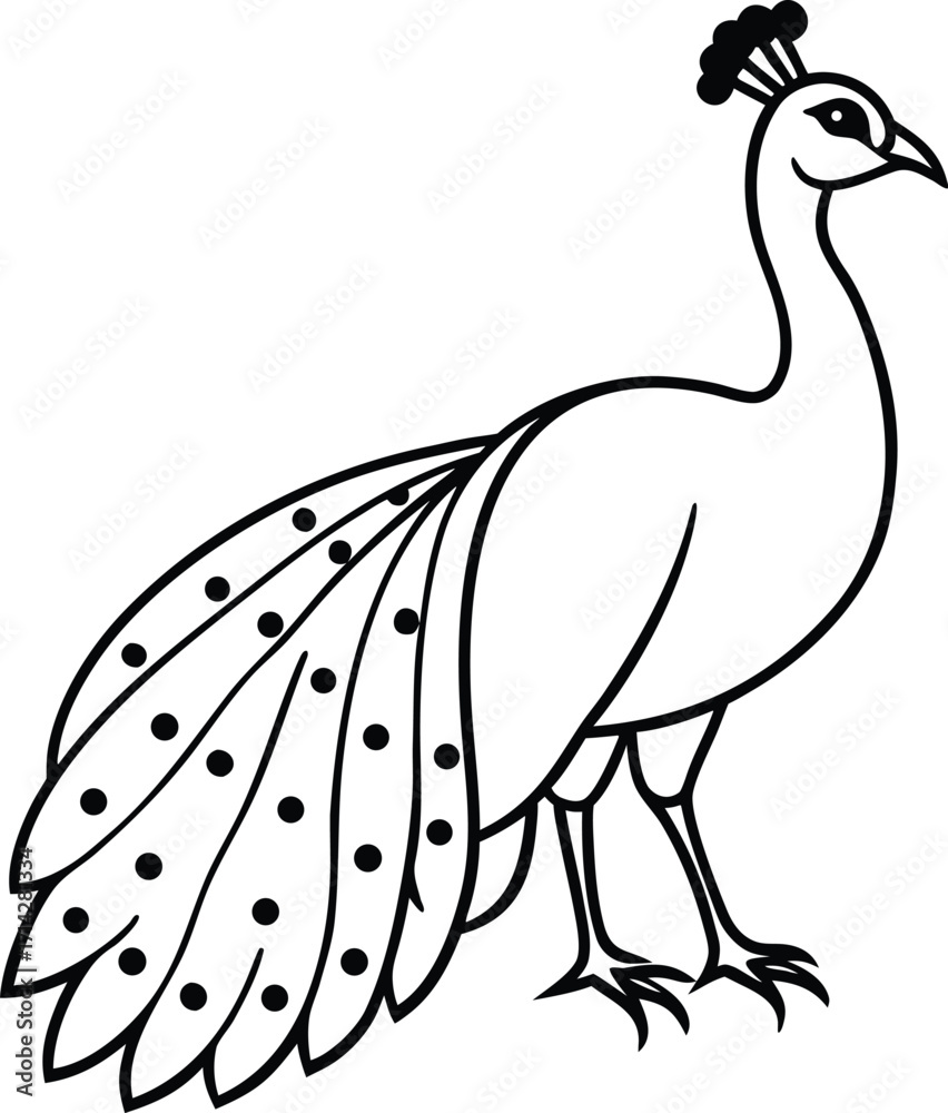 Fototapeta premium Peacock line Art Vector Illustration