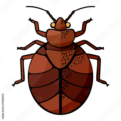 Bed bug, a common pest insect, on white background. Illustration for pest control and infestation concept. Graphic design.