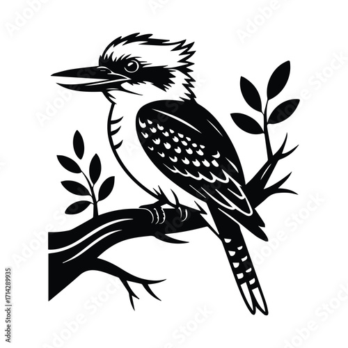 Black and white Kookaburra illustration perched on a branch with leaves design element