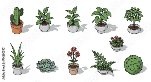 Collection of Potted Houseplants: Cactus Succulents and More.