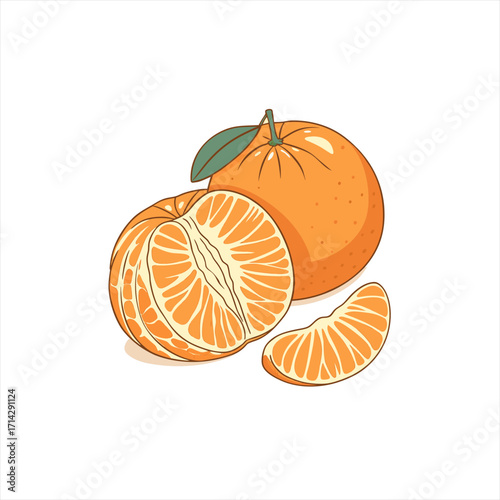 Fresh mandarin oranges with a leaf and segments